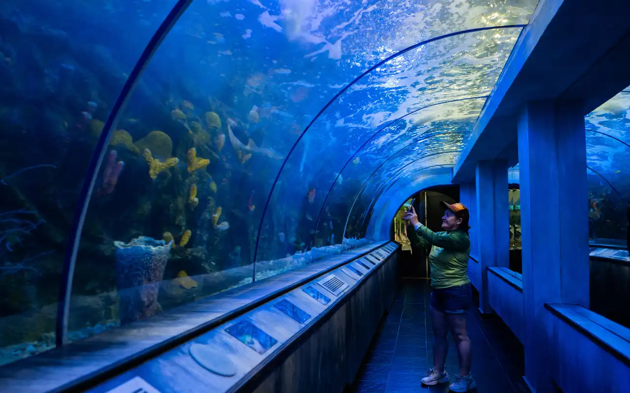 marine exhibits in santa marta aquarium