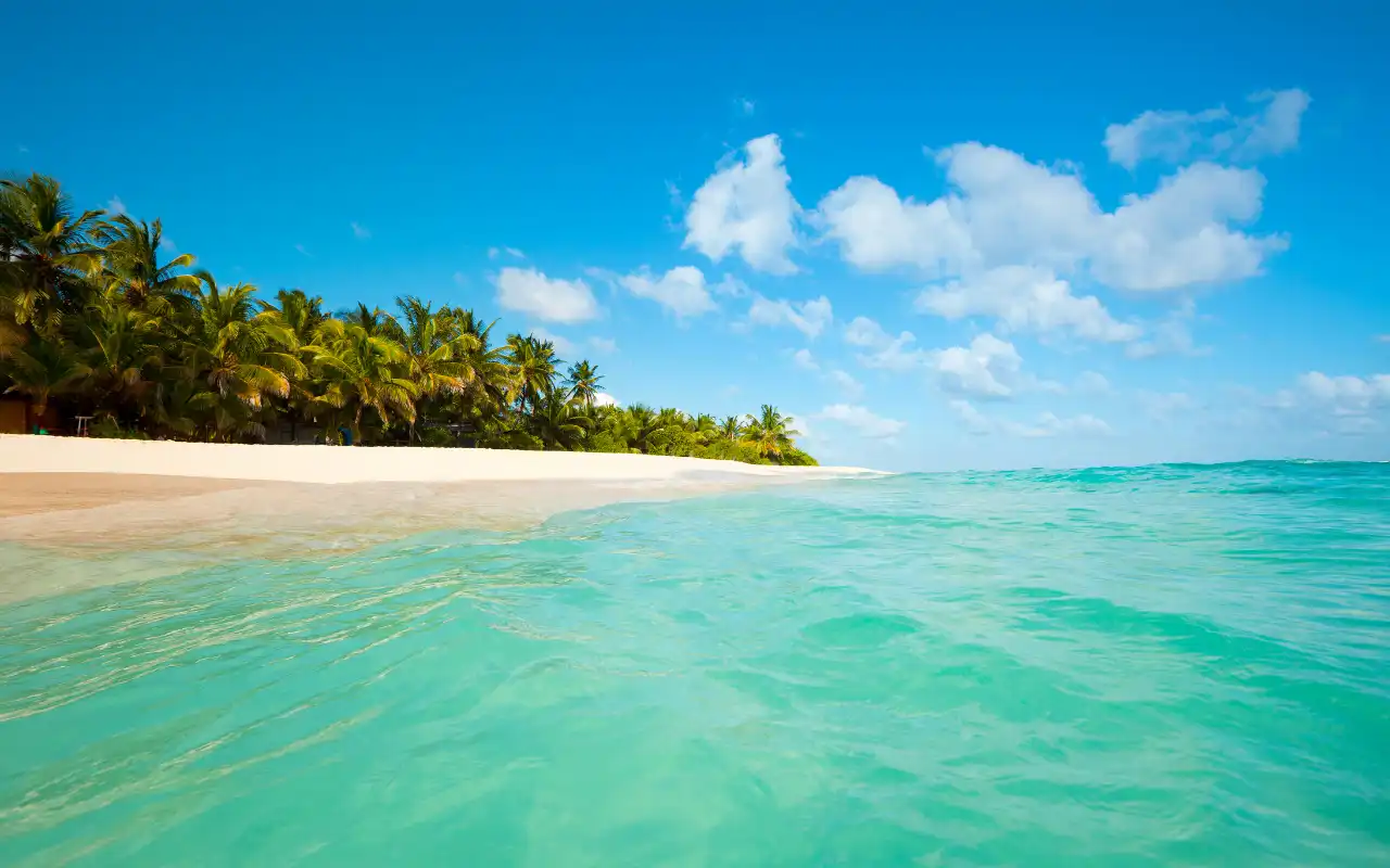 Johnny Cay in San Andrés Colombia