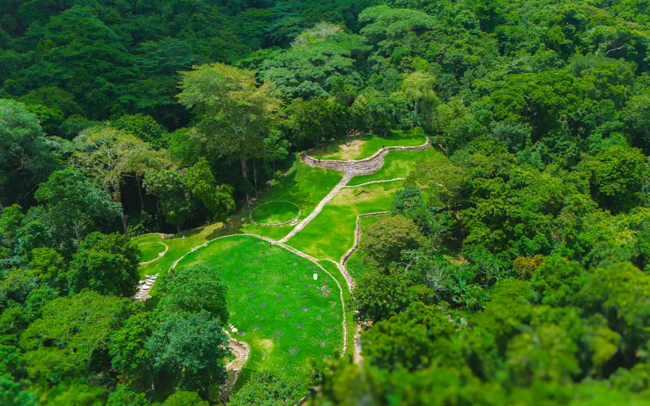 tropical jungle in sierra nevada de santa marta