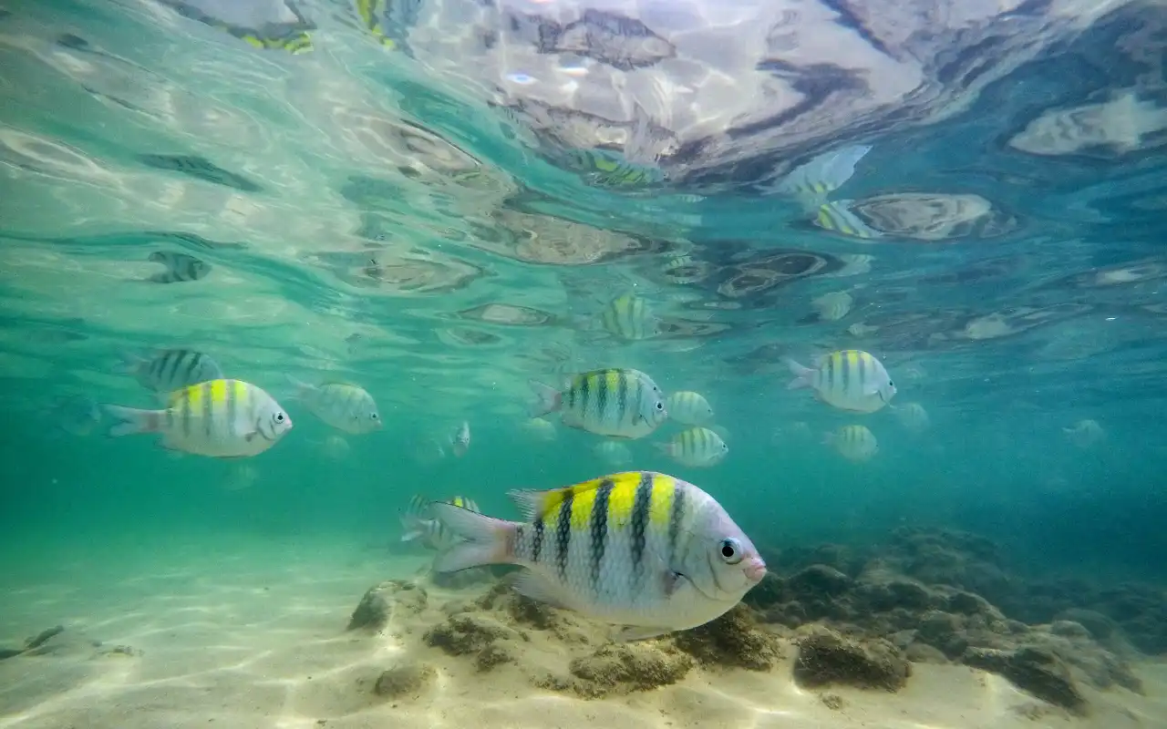 Snorkeling in San Andrés Colombia