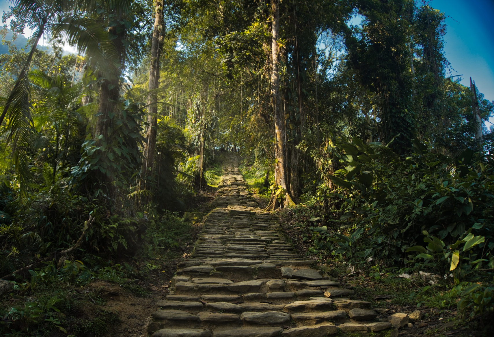 Lost city colombia- magic tour colombia