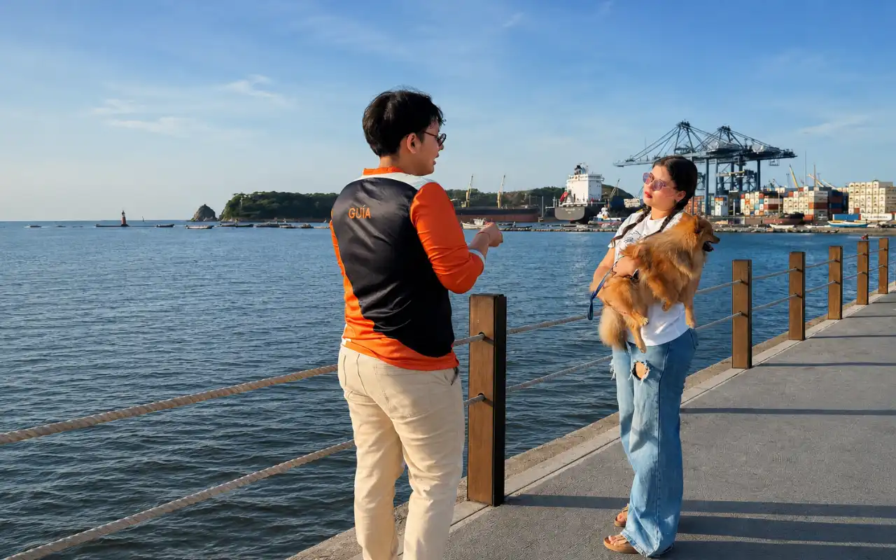 Perro disfrutando de una playa pet-friendly en Santa Marta