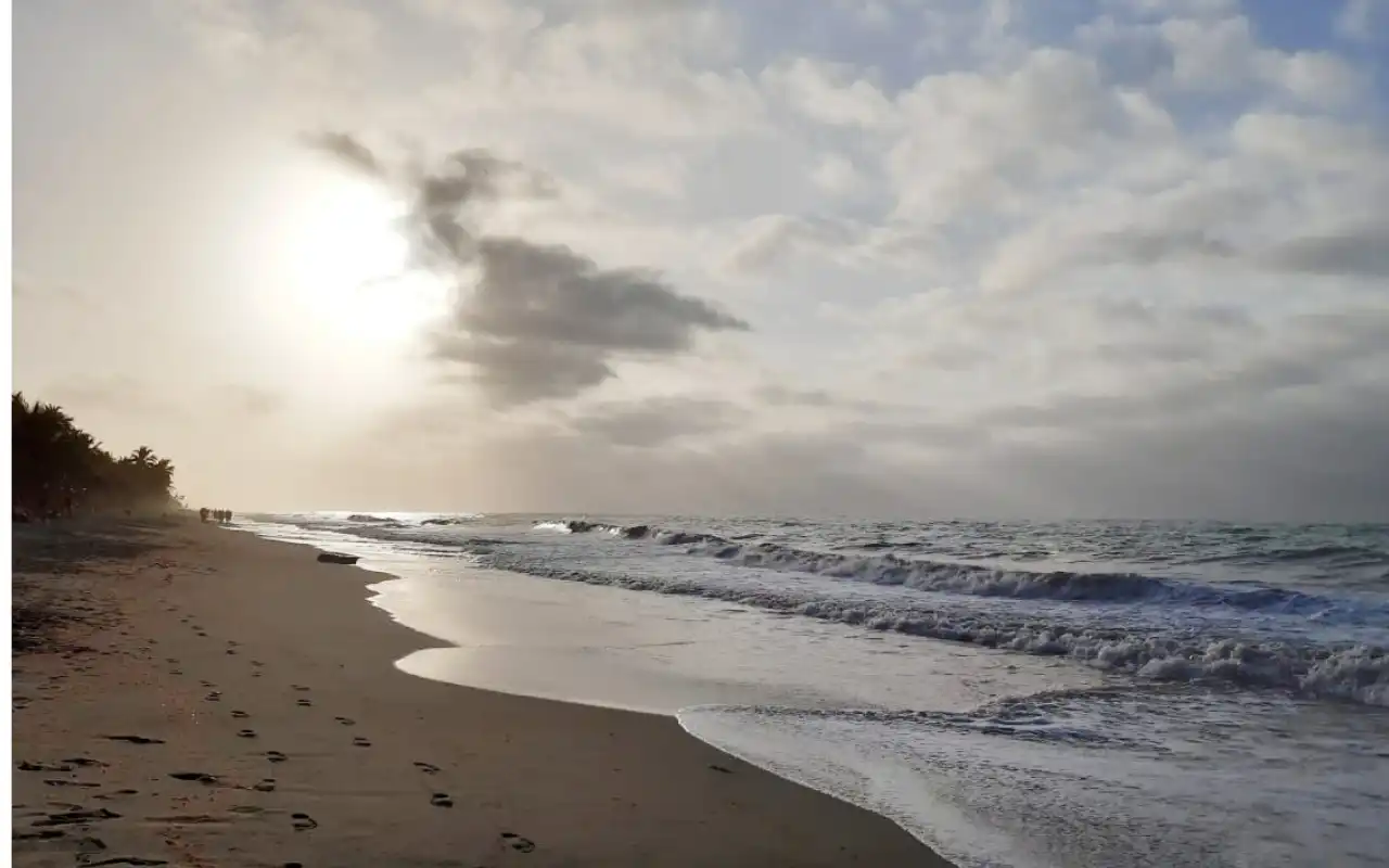 Playa de Palomino con palmeras y el Caribe colombiano