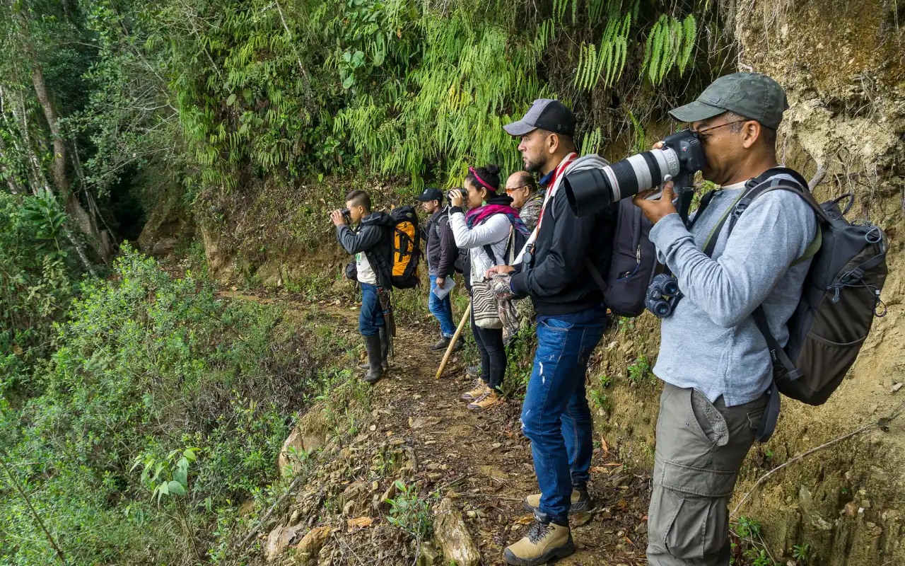 Avistamiento de aves en la Sierra Nevada de Santa Marta
