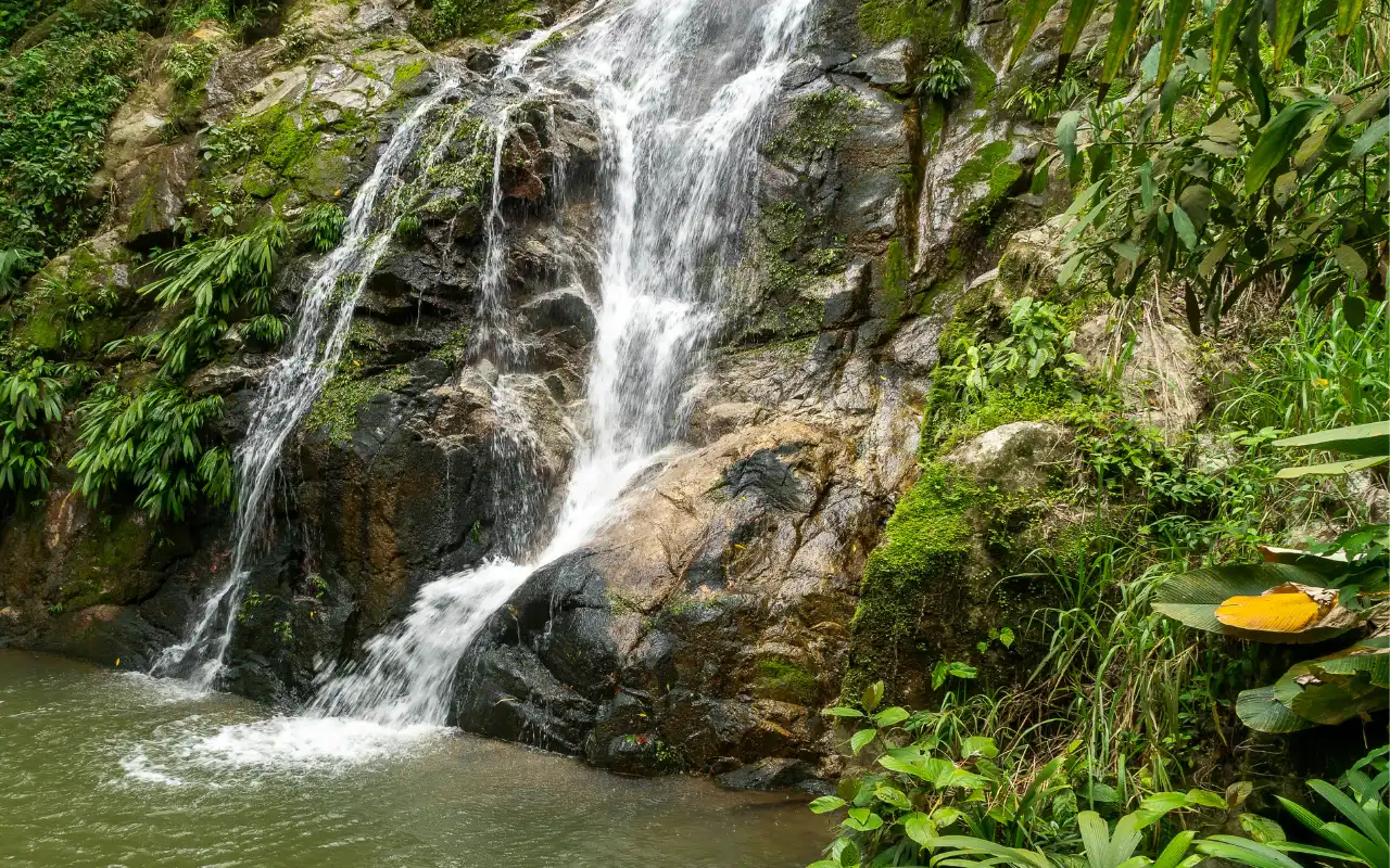 Cascadas de Marinka rodeadas de bosque tropical en Minca