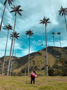 Valle de cocora