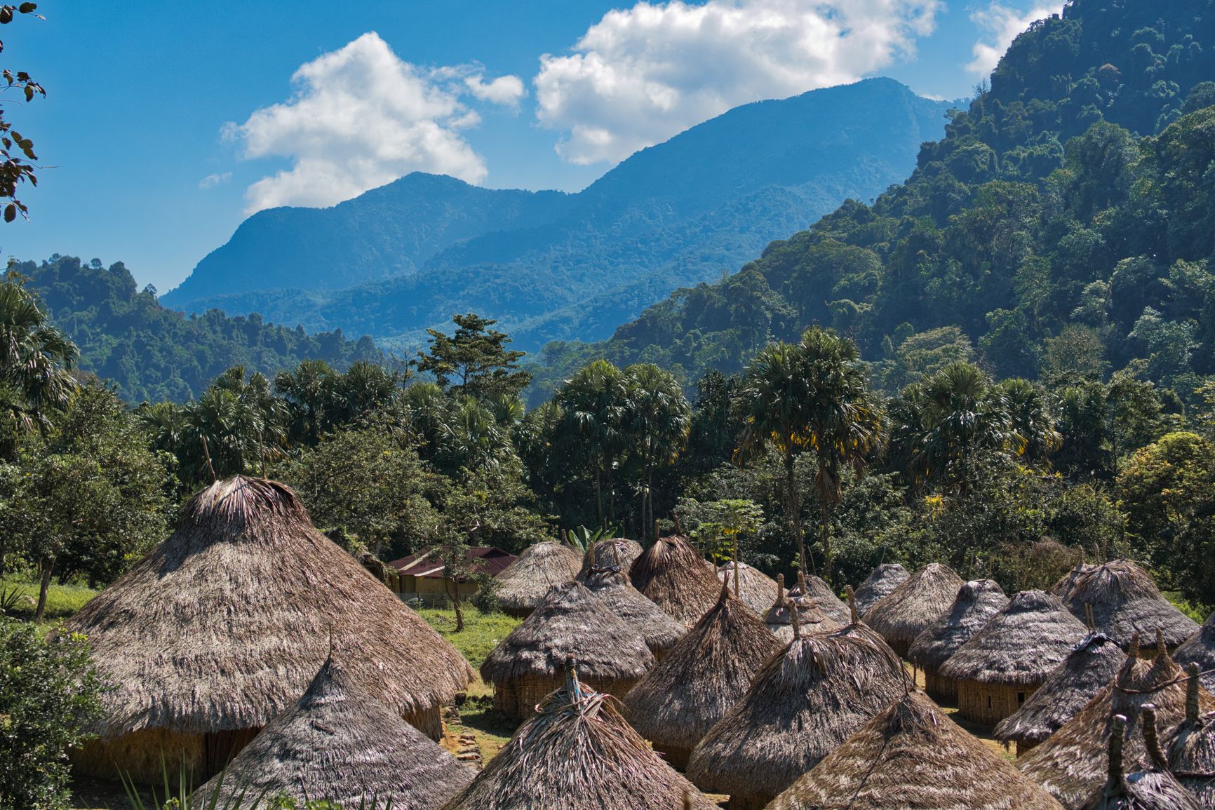Lost city colombia- magic tour colombia